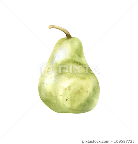 Watercolor hand drawn green pear. Summer green fruit ,clip art for kitchen, label, logo, invitation, product design. Fresh food illustration 109587725