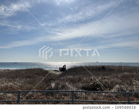 望著大海的一對夫婦 望著大海的一對夫婦 109588018