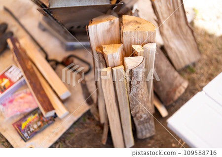 firewood for bonfire 109588716
