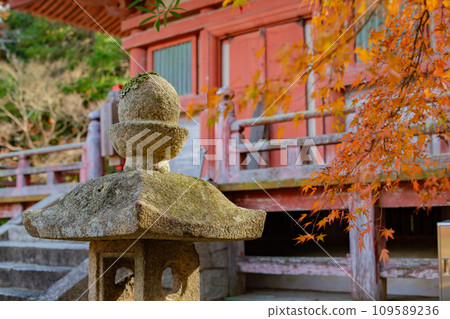 秋天的神戶，太山寺，三層寶塔，石燈籠，秋天的落葉 109589236