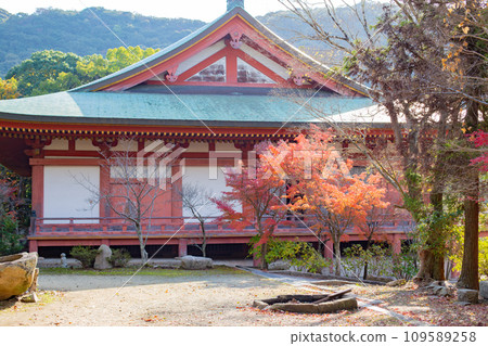 Autumn Kobe, Taizanji Temple main hall and autumn leaves 109589258