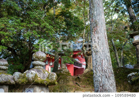 Kasuga Taisha Kasuga Taisha 109589480