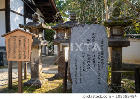 春日大社 109589484