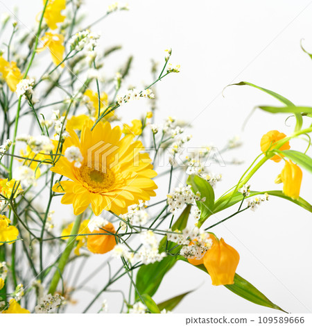 Flowers Plants Flower Arrangements Flowers Plants Flower Arrangements 109589666