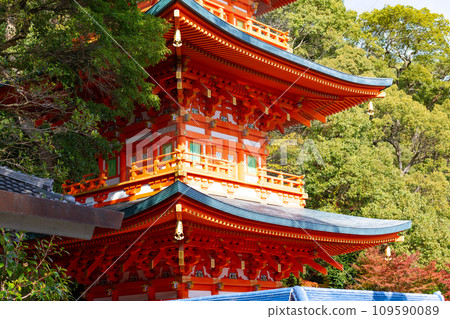 Kobe in autumn, Suma-dera Temple, three-storied pagoda and autumn leaves 109590089