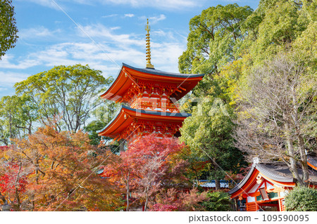 秋天的神戶、須磨寺、三層寶塔和秋葉 109590095