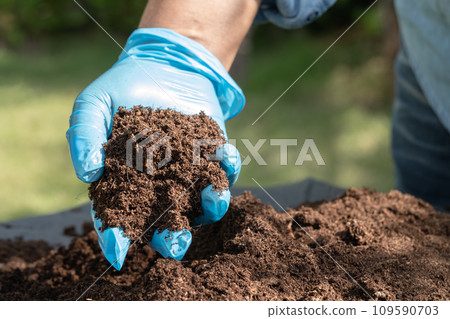 Gardener woman holding peat moss organic matter improve soil for agriculture organic plant growing, ecology concept. 109590703