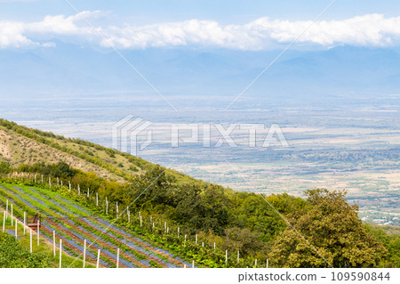 monastery gardens and Alazan Valley near Bodbe 109590844