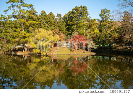 Todaiji Todaiji 109591167