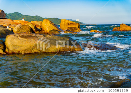 Rocky seashore.  109591539