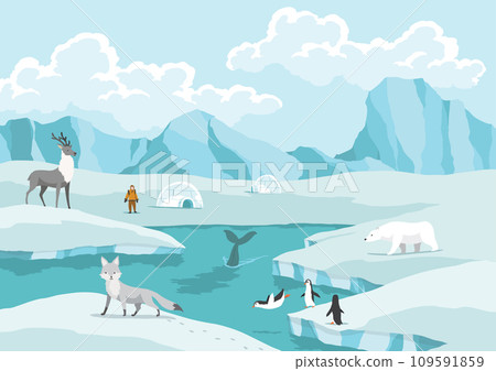 North pole arctic. White bears, seal and penguins on drifting and melting glacier in ocean, snow mountains iceberg polar winter season cartoon vector illustration North pole arctic. White bears, seal and penguins on drifting and melting glacier in ocean, snow mountains iceberg polar winter season cartoon vector illustration 109591859