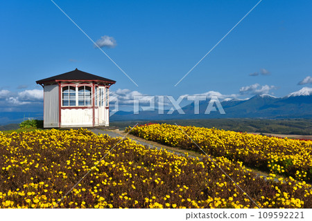 北海道花之國上富良野風景 109592221