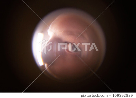 A curious neighbor peeps through the peephole into the apartment, close-up. 109592889