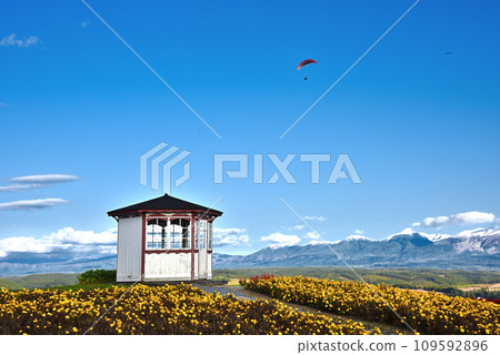 Scenery of Hokkaido Flower Land Kamifurano Scenery of Hokkaido Flower Land Kamifurano 109592896
