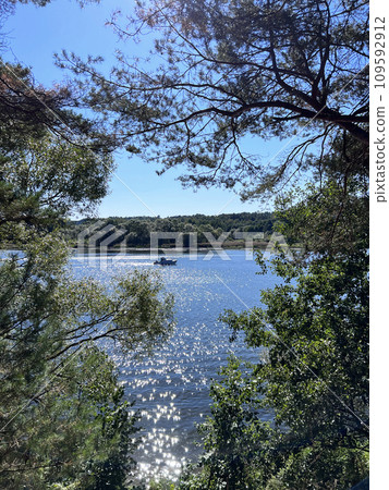 the trees along the shore of the lake the trees along the shore of the lake 109592912