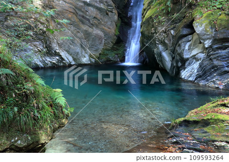 Mitaru Gongen Falls, a hidden waterfall (Tosa Town, Kochi Prefecture) 109593264