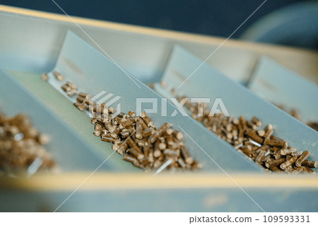 Wood pellet production machine in factory, pellet manufacturing in wood pellet line. Reusing wooden industrial waste. Wood pellet production machine in factory, pellet manufacturing in wood pellet line. Reusing wooden industrial waste. 109593331