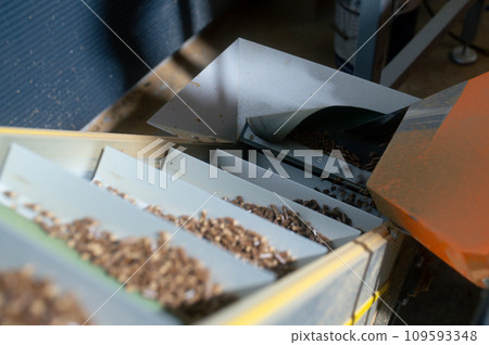 Wood pellet production machine in factory, pellet manufacturing in wood pellet line. Reusing wooden industrial waste. Wood pellet production machine in factory, pellet manufacturing in wood pellet line. Reusing wooden industrial waste. 109593348