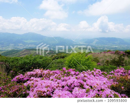 View from Mt. Eboshi in Aso and Mt. Miyama Kirishima (Kumamoto Prefecture) 109593800