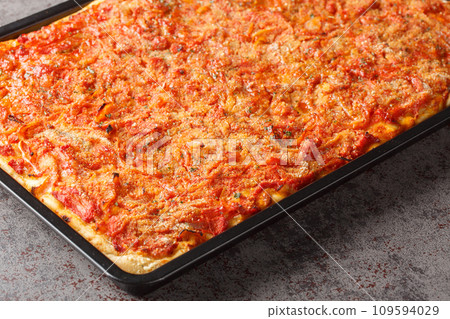 Rectangular Sfincione pizza with onions, tomatoes, cheese, anchovies and breadcrumbs closeup on a baking sheet. Horizontal 109594029