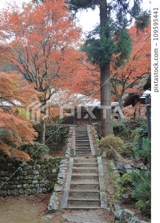 從四國二十聖地第十名、紅葉名勝西山廣隆寺的法修館前眺望本堂 109595441