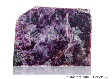 macro mineral stone Charoite on a white background 109595678