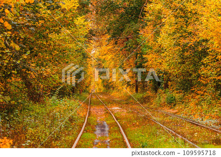 Autumn forest through which an old tram rides (Ukraine) 109595718