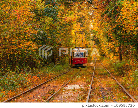 Autumn forest through which an old tram rides (Ukraine) 109595720