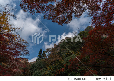 Autumn Gorge, autumn leaves 109596101