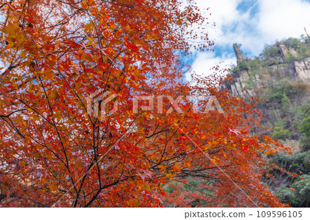Autumn Gorge, autumn leaves 109596105