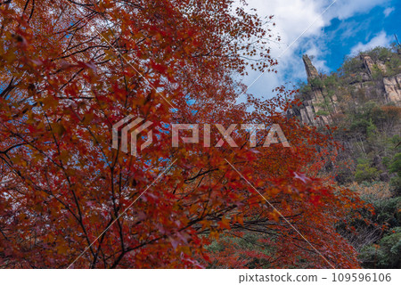 Autumn Gorge, autumn leaves Autumn Gorge, autumn leaves 109596106