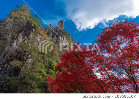 Autumn Gorge, autumn leaves 109596107