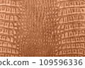 Crocodile skin texture background toned with peach fuzz color of the year 2024 109596336