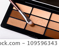 Professional eye shadow Peach Fuzz palette and brush on white background close up 109596343