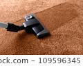 Carpet Peach Fuzz color and cleaner 109596345