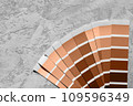 Colour of the year Palette Catalog Peach Fuzz samples, paint selection cards on grey stone background 109596349