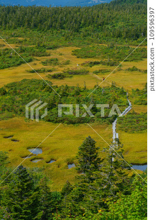 夏天的八甲田山的健下台 青森縣青森市旅遊局 109596397