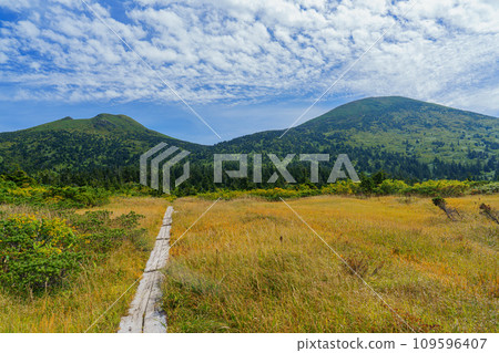 夏天的八甲田山的健下台 青森縣青森市旅遊局 夏天的八甲田山的健下台 青森縣青森市旅遊局 109596407
