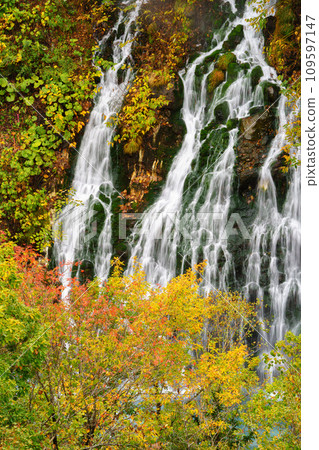白須瀑布、秋葉、秋季北海道旅遊 109597147
