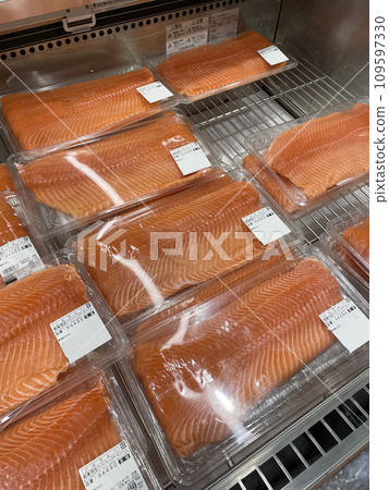鮭魚部 鮭魚部 109597330