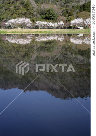 山裡等待播種的稻田 山裡等待播種的稻田 109597340