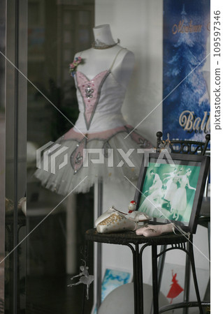 ballerina costume ballerina costume 109597346