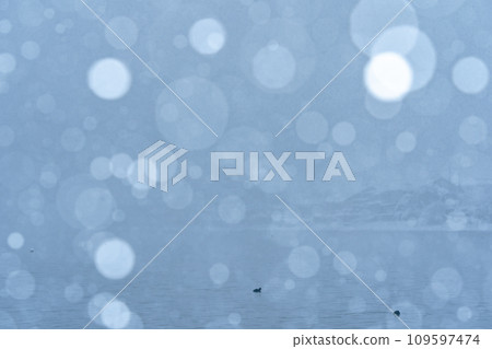 Photographing the snowy old village of Kaizuhama, Makino Town, Takashima City, Shiga Prefecture, in Hubei. 109597474