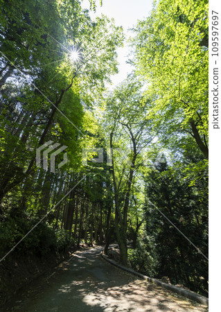 Image of Satoyama surrounded by fresh greenery 109597697