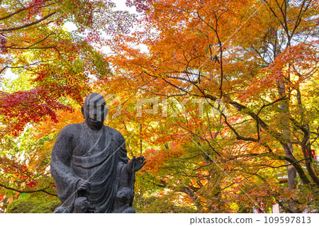 Kyoto in autumn, Komamori Daishi at Kumano Kannonji Temple is covered in autumn leaves 109597813