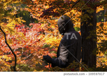 Kyoto in autumn, Komamori Daishi at Kumano Kannonji Temple is covered in autumn leaves 109597817