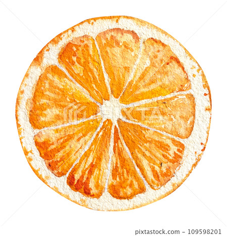 a slice of orange , hand drawn watercolor illustration of orange a slice of orange , hand drawn watercolor illustration of orange 109598201