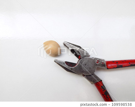 Ginkgo seeds and pliers Ginkgo seeds and pliers 109598538