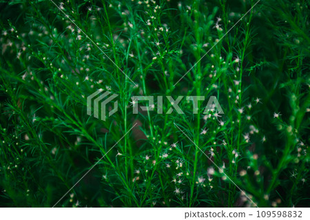 Lush Green Leaf Background: Nature Artistic Texture for Eco-Friendly Designs and Botanical Concepts 109598832