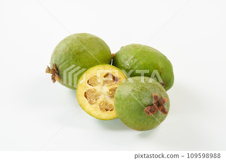 Feijoa white background Feijoa white background 109598988